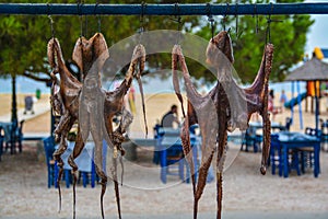 Sun dried octopus