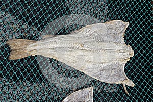 Sun-dried salted codfish photo