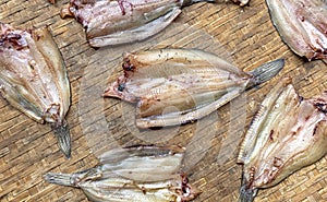 Sun dried snakehead fish on a woven bamboo tray