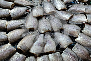 Sun-dried Snakeskin Gourami fish or Plasalid fish