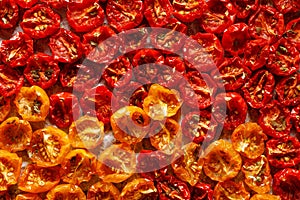Sun dried tomatoes, dried red and yellow cherry tomatoes, close up,