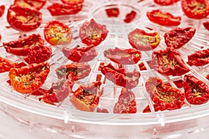 Sun-dried tomatoes in a plastic dehydrator tray close up