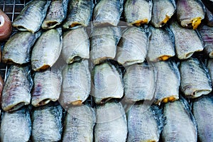 Sun dried trichogaster pectoralis fish