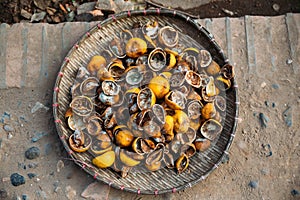 Sun dries orange peels in Laos.