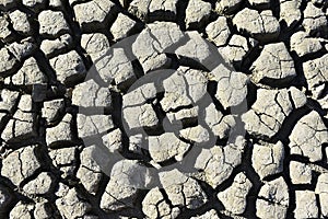 From the sun and drought cracked earth