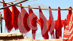 Sun drying dyed wool in Marrakesh