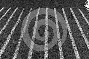 Black and white stripes by the sun