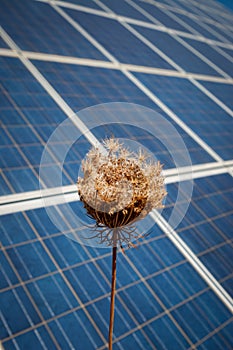Sun Energy Farm - Stock Image
