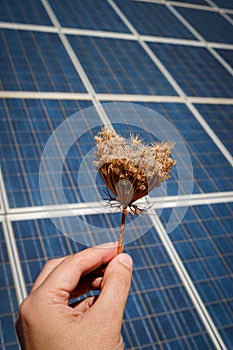 Sun Energy Farm - Stock Image