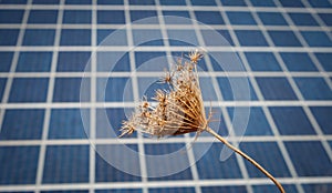 Sun Energy Farm - Stock Image