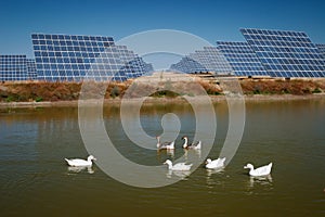 Sun Energy Farm - Stock Image