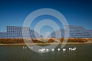 Sun Energy Farm - Stock Image