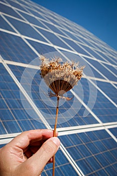 Sun Energy Farm - Stock Image