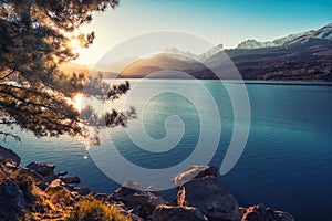 Sun filtering through pine tree above lake Calacuccia in Corsica