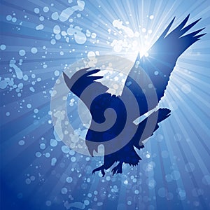 Sun flare eagle