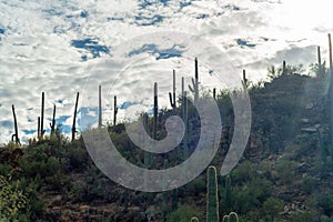 Sun flare hills in late evening shade with blue sky and clouds on cold stormy day in the ciffs and hills of arizona photo