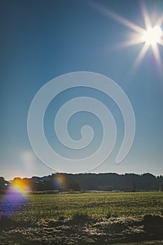 Sun flare shining on a solid blue sunny sky over a green rural field landscape