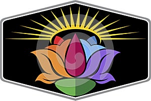Sun flower logo