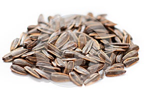 Sun flower seed on table white background