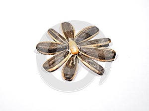 Sun flower seed on white