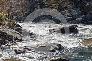 Sun Glaring on Water in Creek