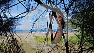 Sun Glasses With Background Riting Beach in Aceh Besar, Aceh photo