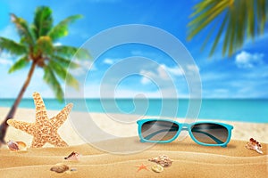 Sun glasses on beach. Starfish and shells on sand. Beach and sea with palm in background