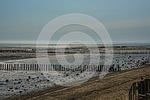 The sun glistens on the sea defenses and beach at West Mersea, UK