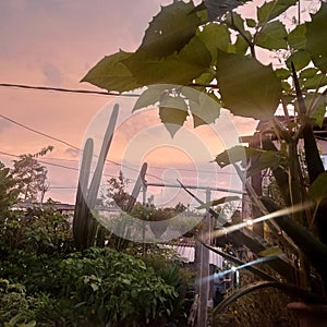 when the sun goes down