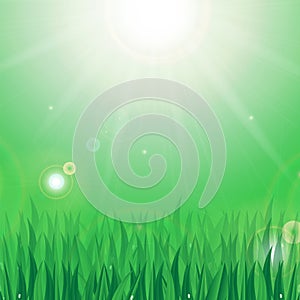 Sun and green grass