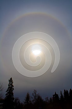 Sun halo