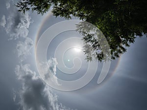 Sun halo