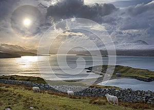 Sun Halo - Ard Neakie - Loch Eriboll -  Scotland