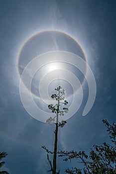 A sun halo high in the sky