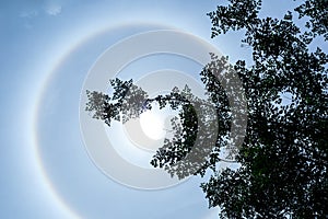 Sun halo phenomenon