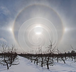 Sun halo in winter sky