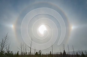 Sun halo in winter sky