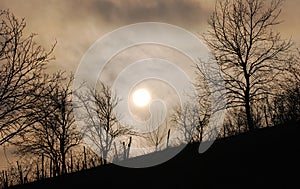 Sun hidden behind the clouds and tree silhouettes on a hill
