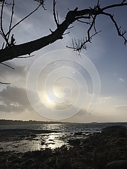 Sun in the horisont by the sea photo