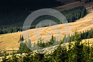 The sun illuminates the Carpathian mountain