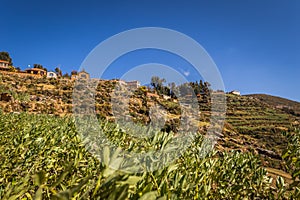 Sun Island - July 28, 2017: Panoramic view of Sun Island in lake Titicaca, Bolivia