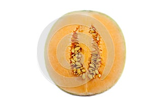 Sun lady cantaloupe melon