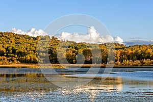 Sun Lake and White Birch in the autumn