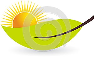 Sun leaf