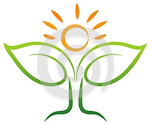 Sun leaf ecology symbol and botany health icon