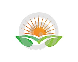 Sun and leaf go green leaf logo symbols