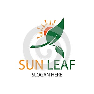 sun leaf logo design template