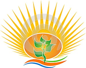 Sun leaf logo