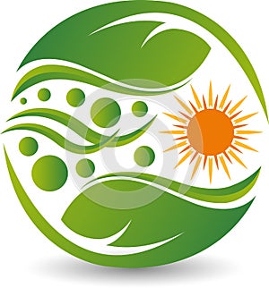 Sun leaf logo