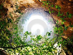 Sun light beam through cave hole crop view with green jungle tree